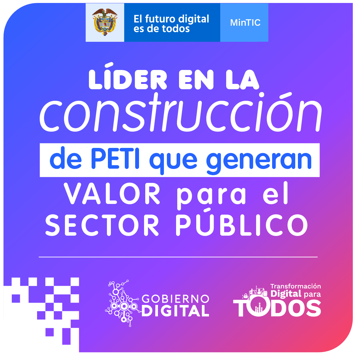 Líder en la construcción de PETI que generan valor para el séctor público