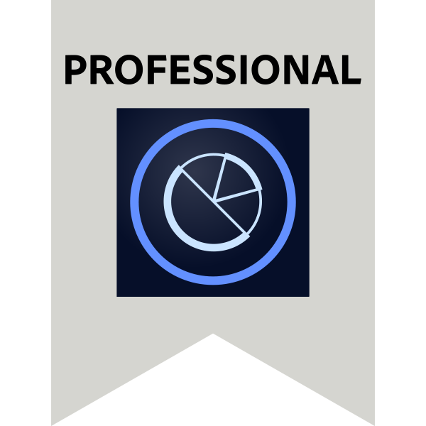 Adobe Professional – Adobe Audience Manager Business Practitioner