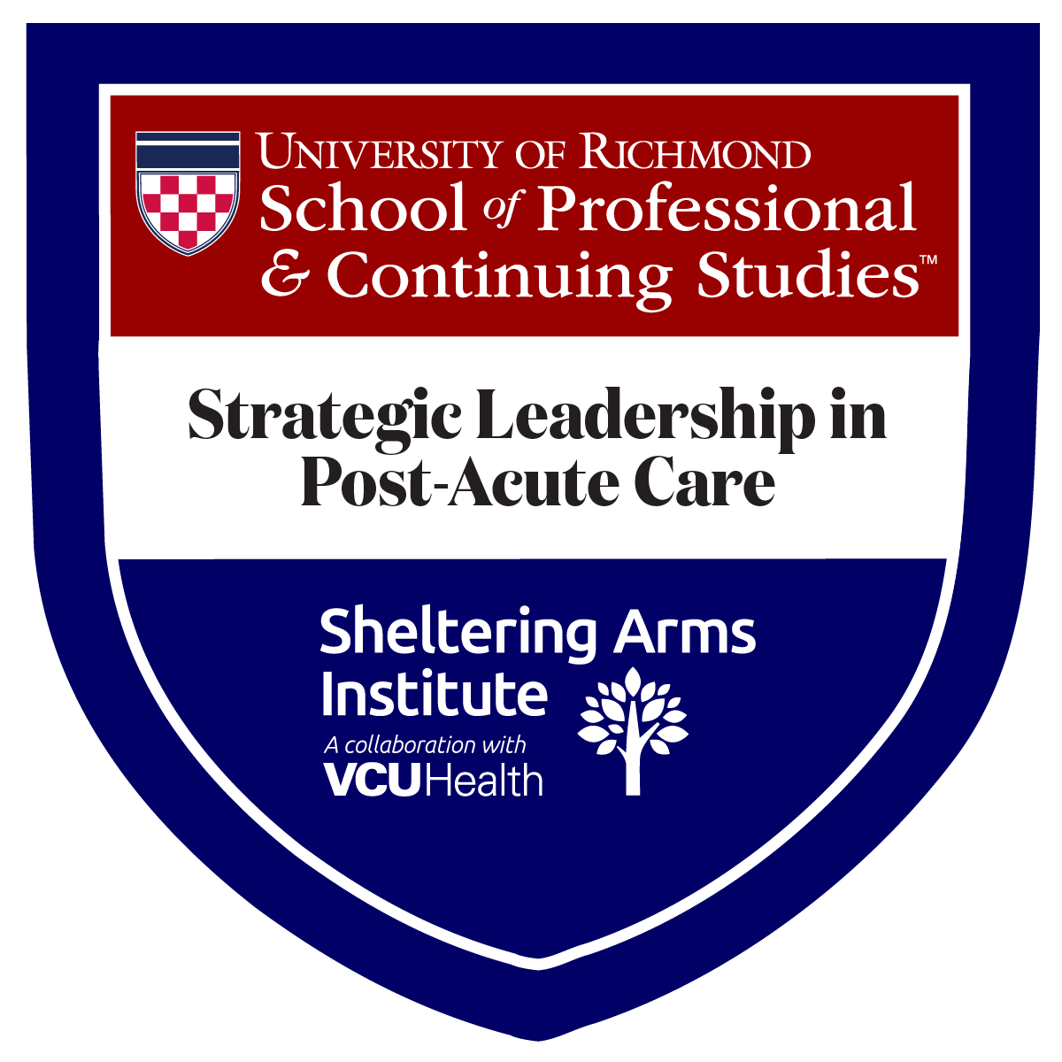 Strategic Leadership in Post-Acute Care