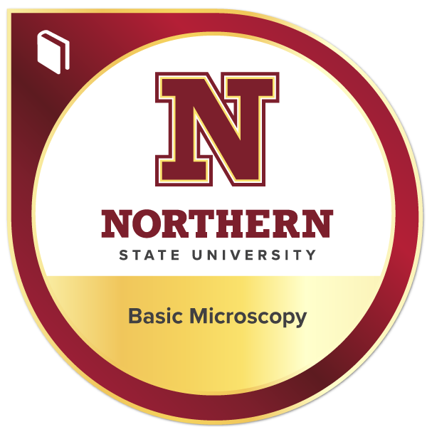 Basic Microscopy