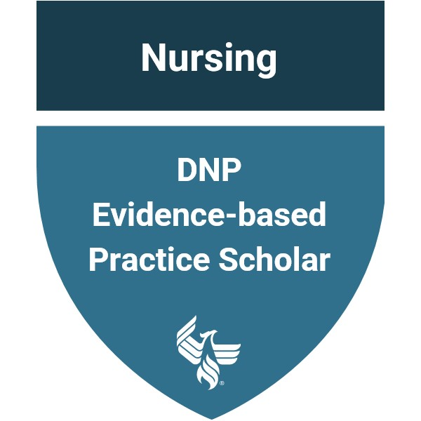 DNP Evidence-based Practice Scholar