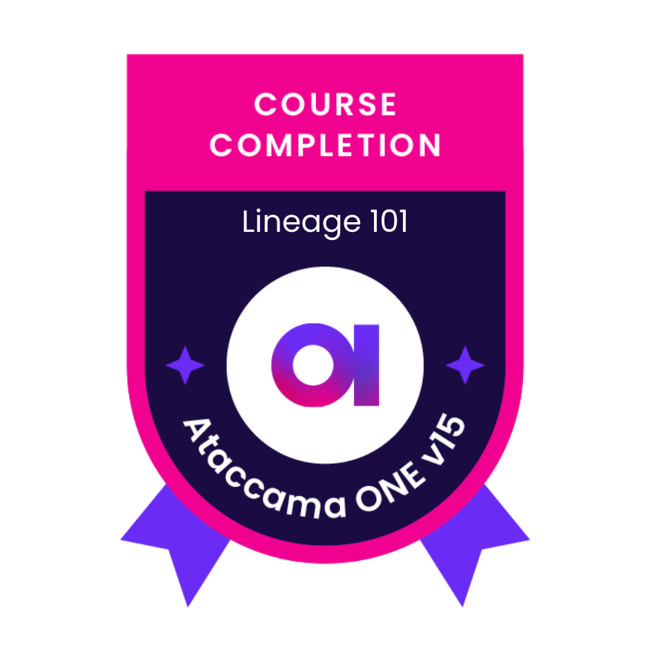 Ataccama SE Lineage Course