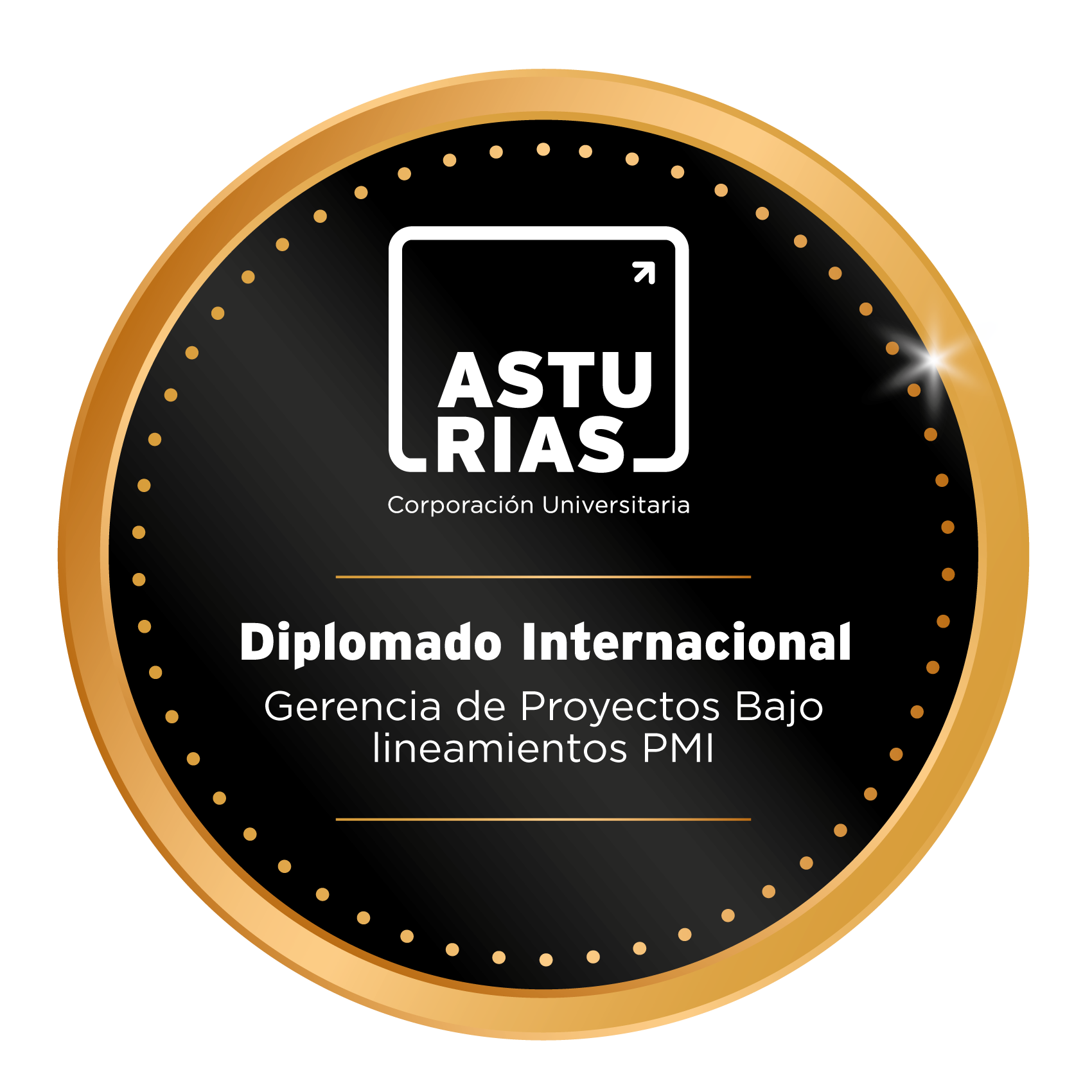 Diplomado Internacional de Gerencia de Proyectos bajo lineamientos PMI