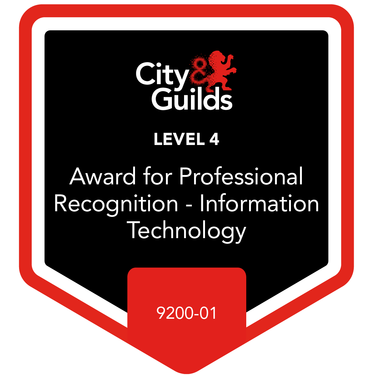 Level 4 Award for Professional Recognition - Information Technology - 9200-01