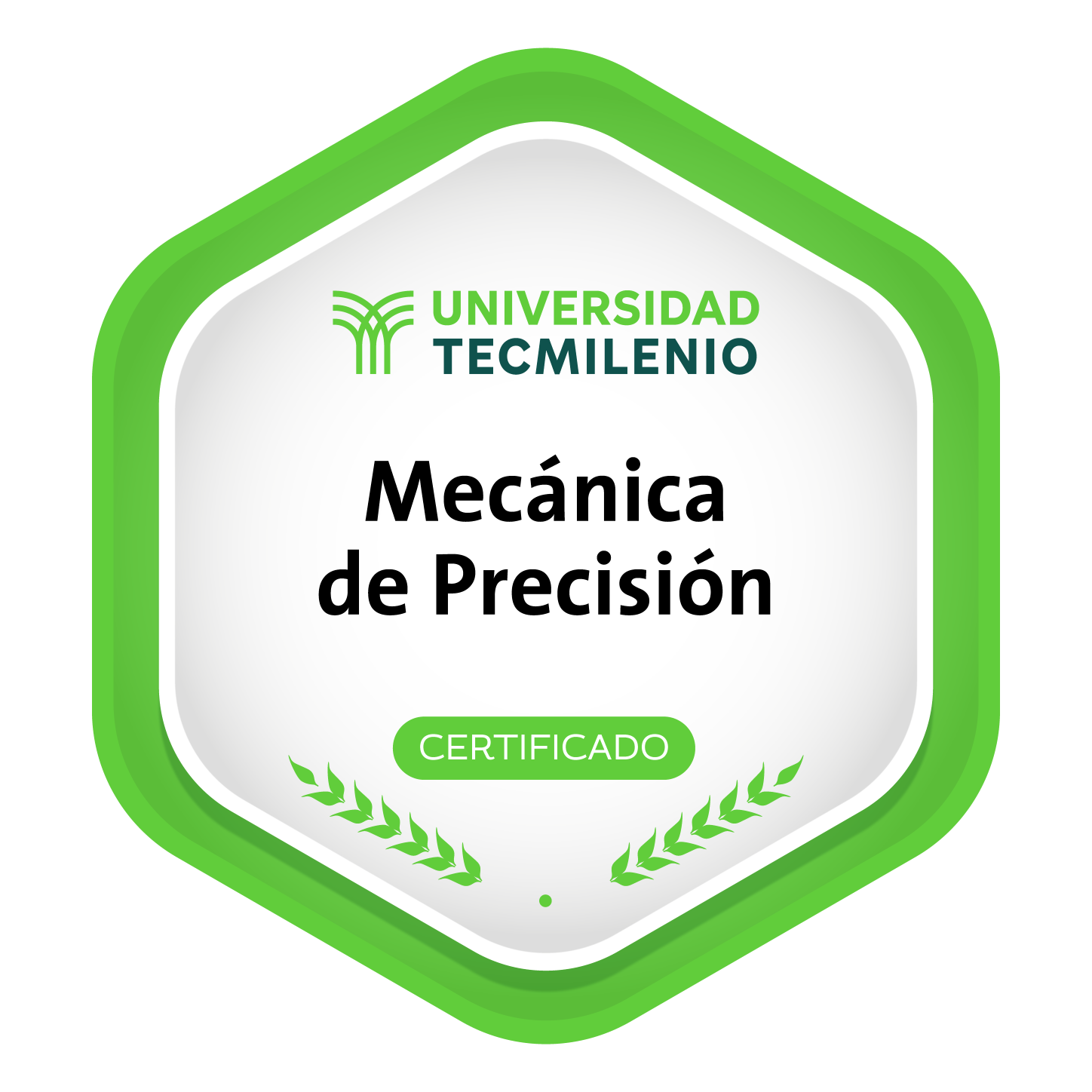 Mecánica de Precisión