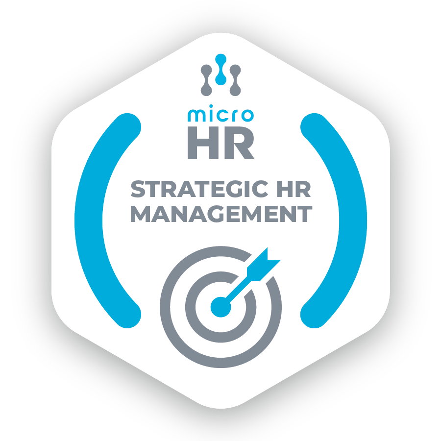 Micro HR: Strategic HR Management