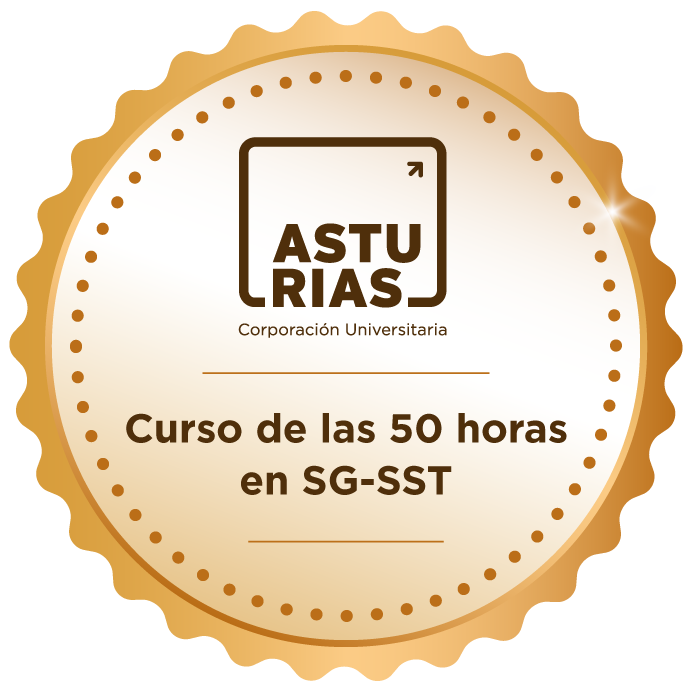 Curso de las 50 horas en el Sistema de Gestión de la Seguridad y Salud en el Trabajo