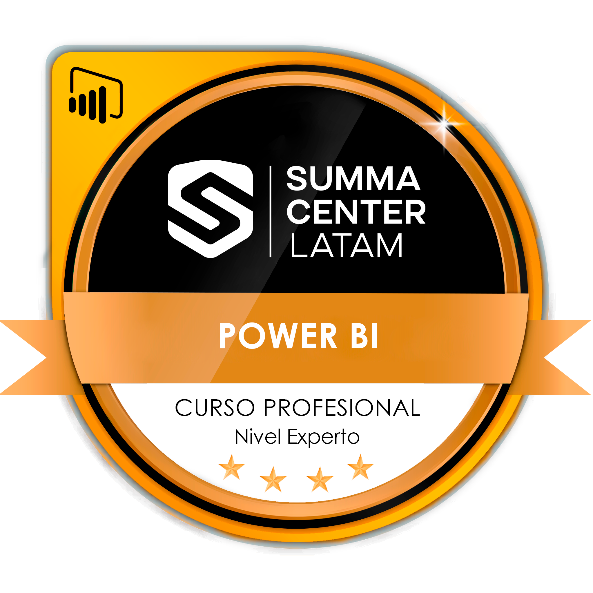 Power BI Nivel Experto - Platinum