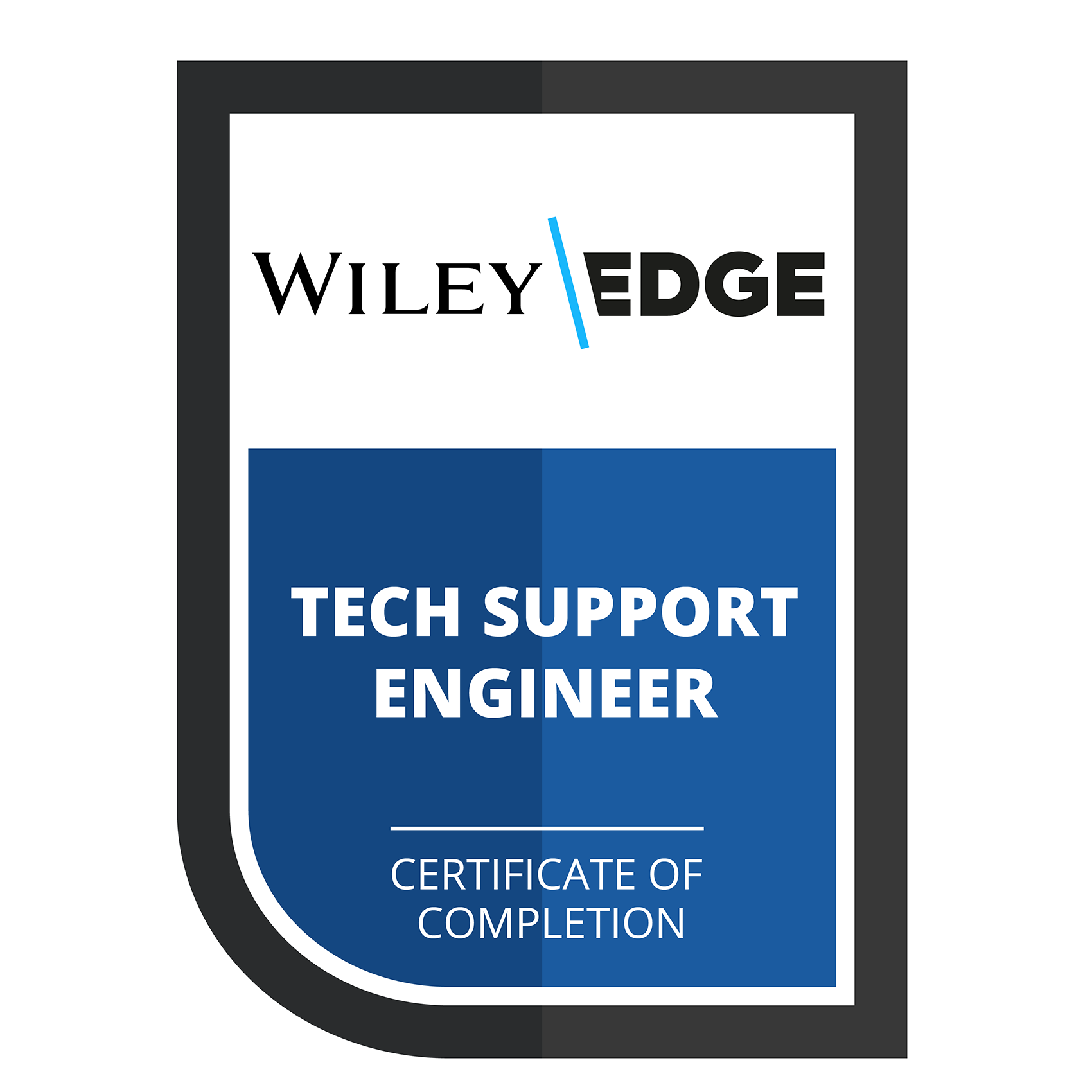 TECH SUPPORT ENGINEER - Credly