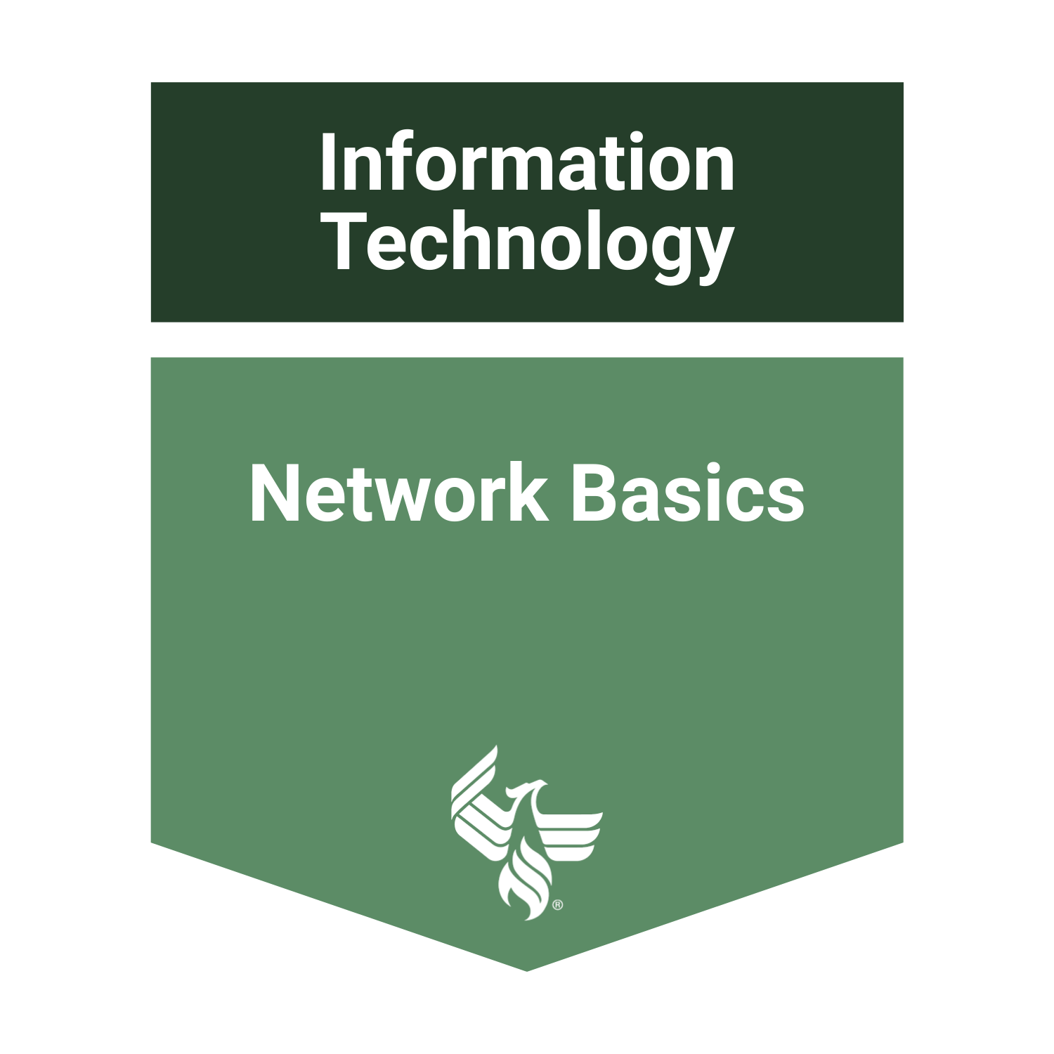 Network Basics