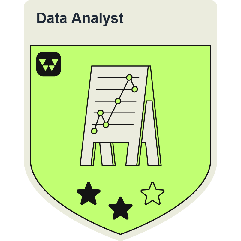 Data Analyst