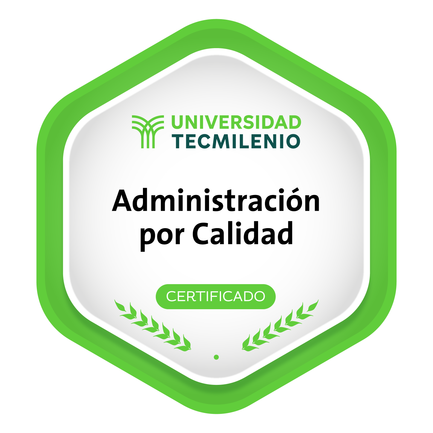 Administración por Calidad