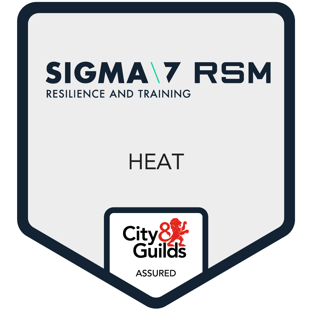 RSM Hostile Environment Awareness Training (HEAT)