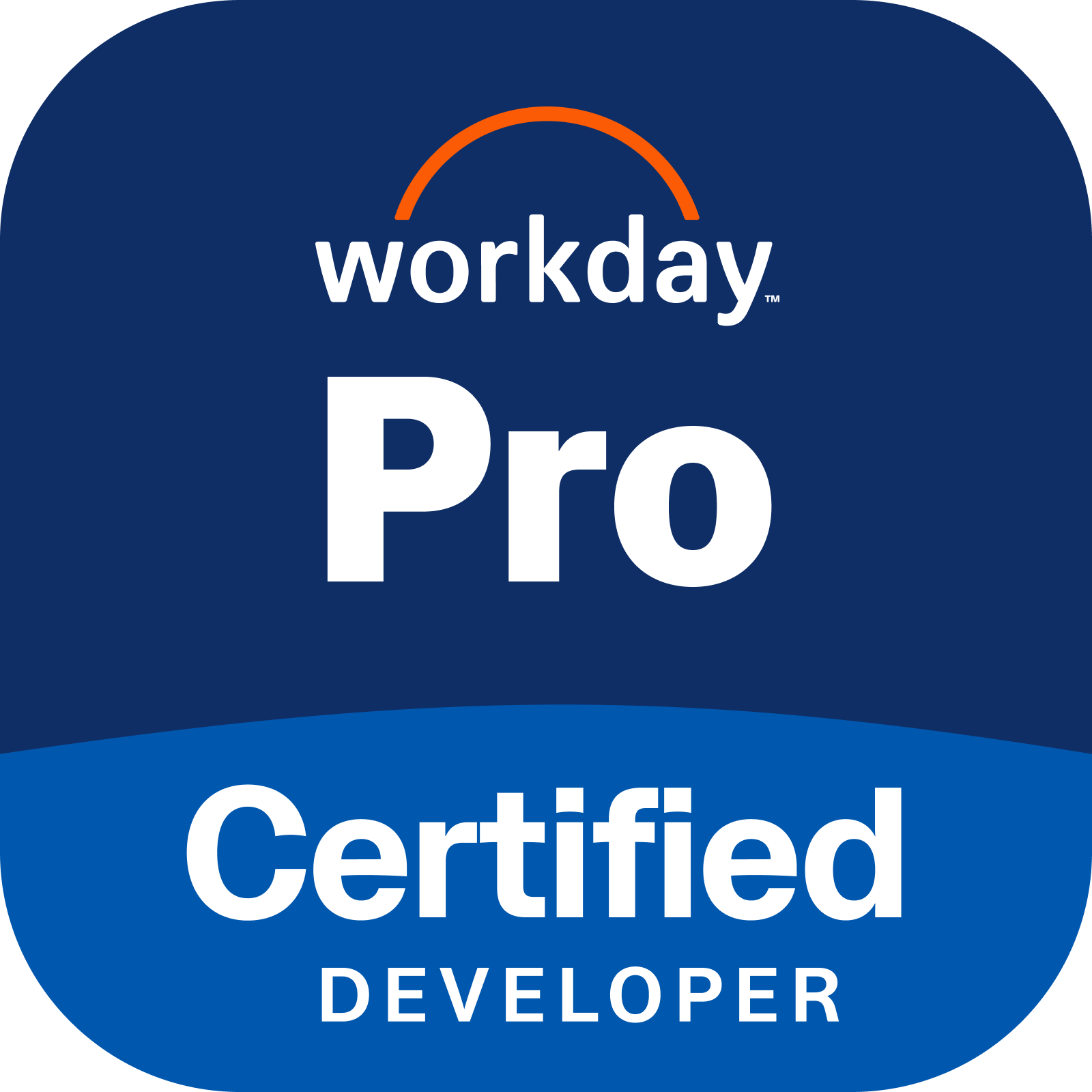 Workday Pro Prism Analytics Certification