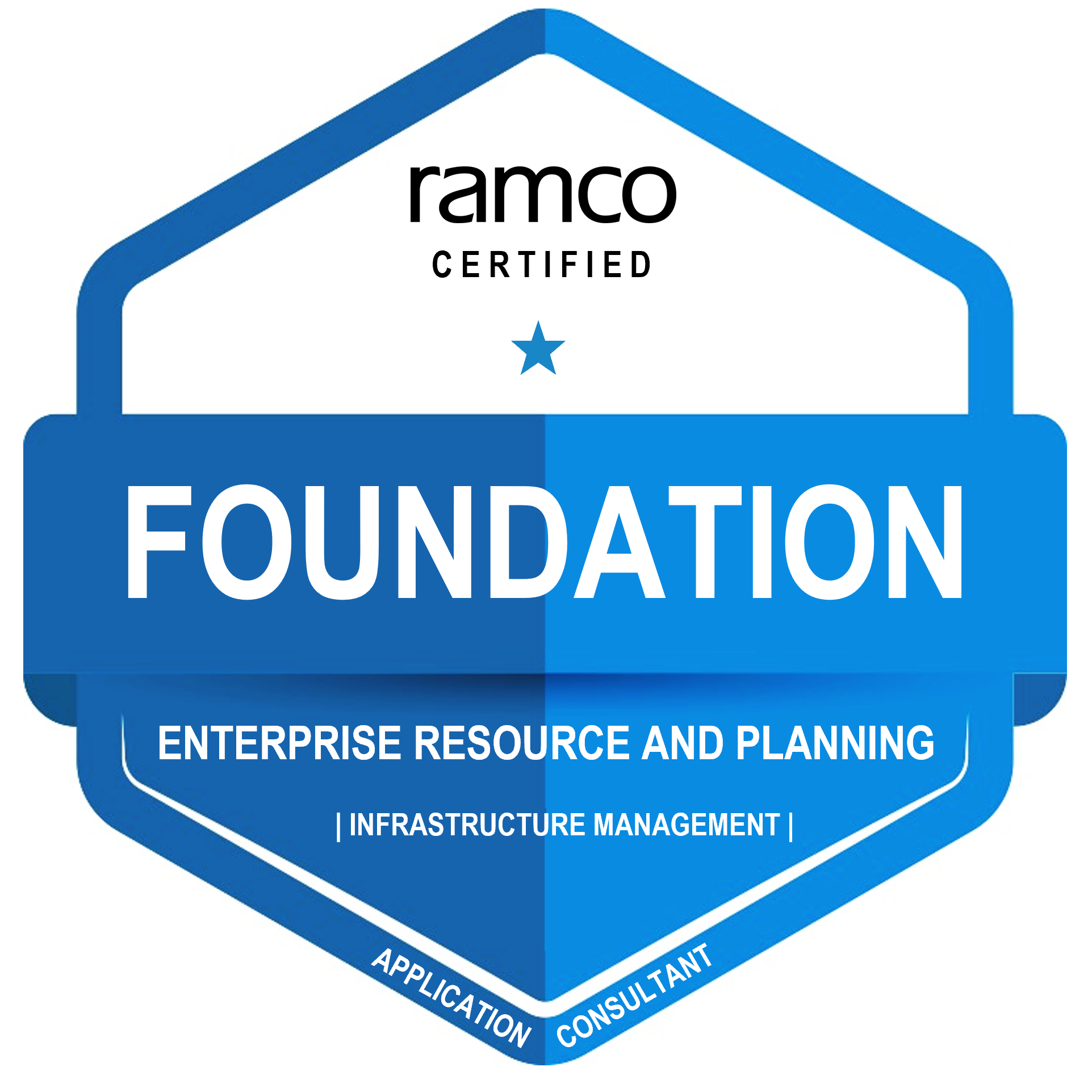 Ramco ERP L1 - Foundation Level in Infrastructure Management