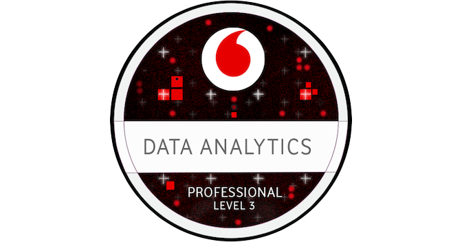 Data Analytics Professional - Credly