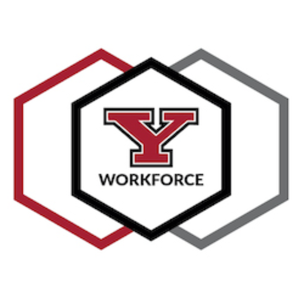 Youngstown State University Credly