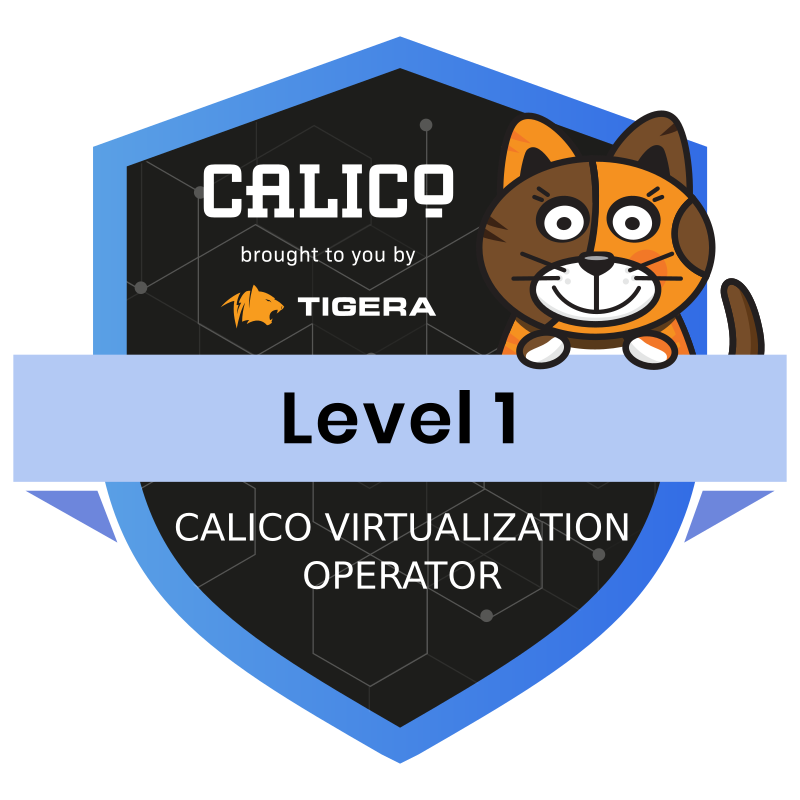Calico Virtualization Operator - Level 1