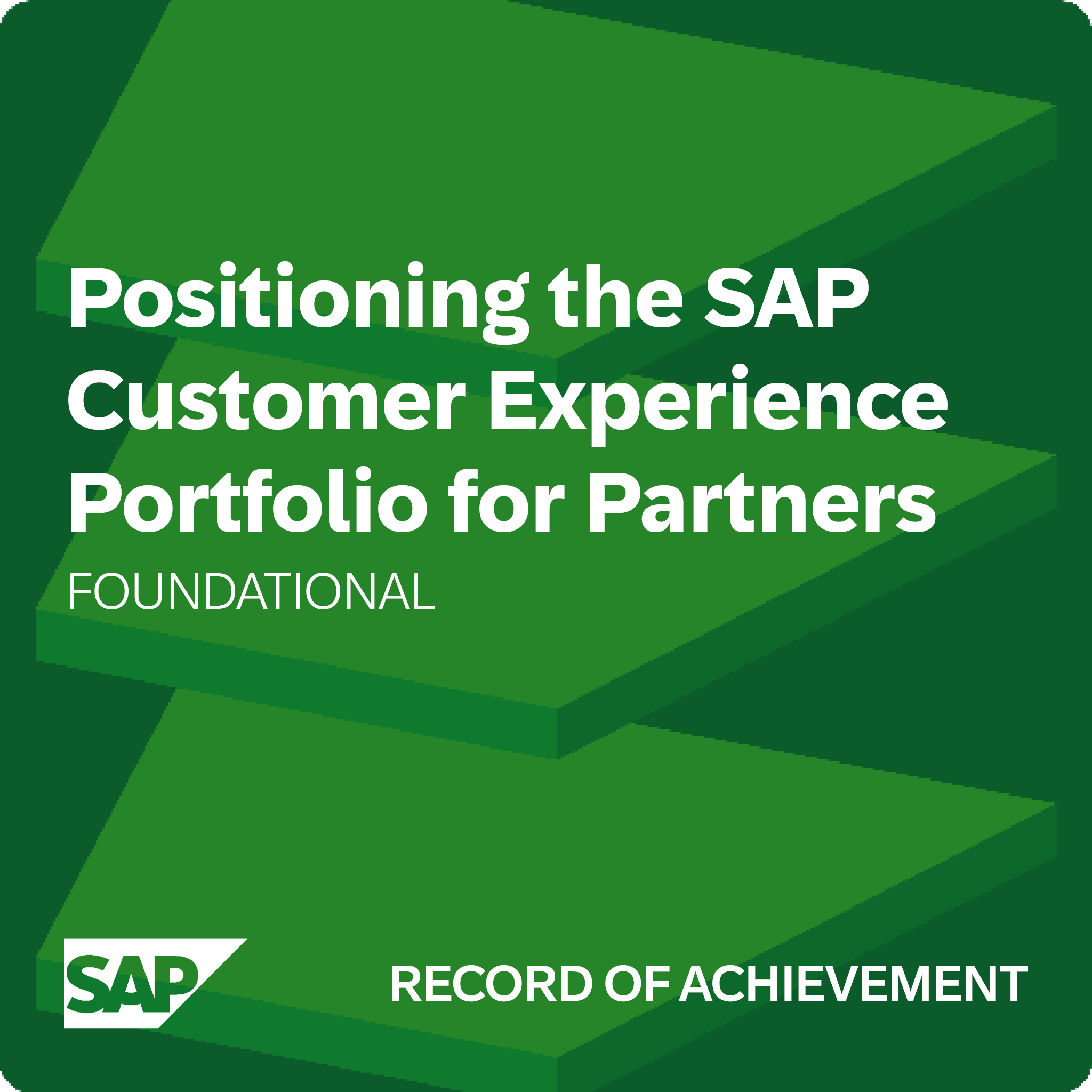 Positioning the SAP Customer Experience Portfolio for Partners - Record of Achievement