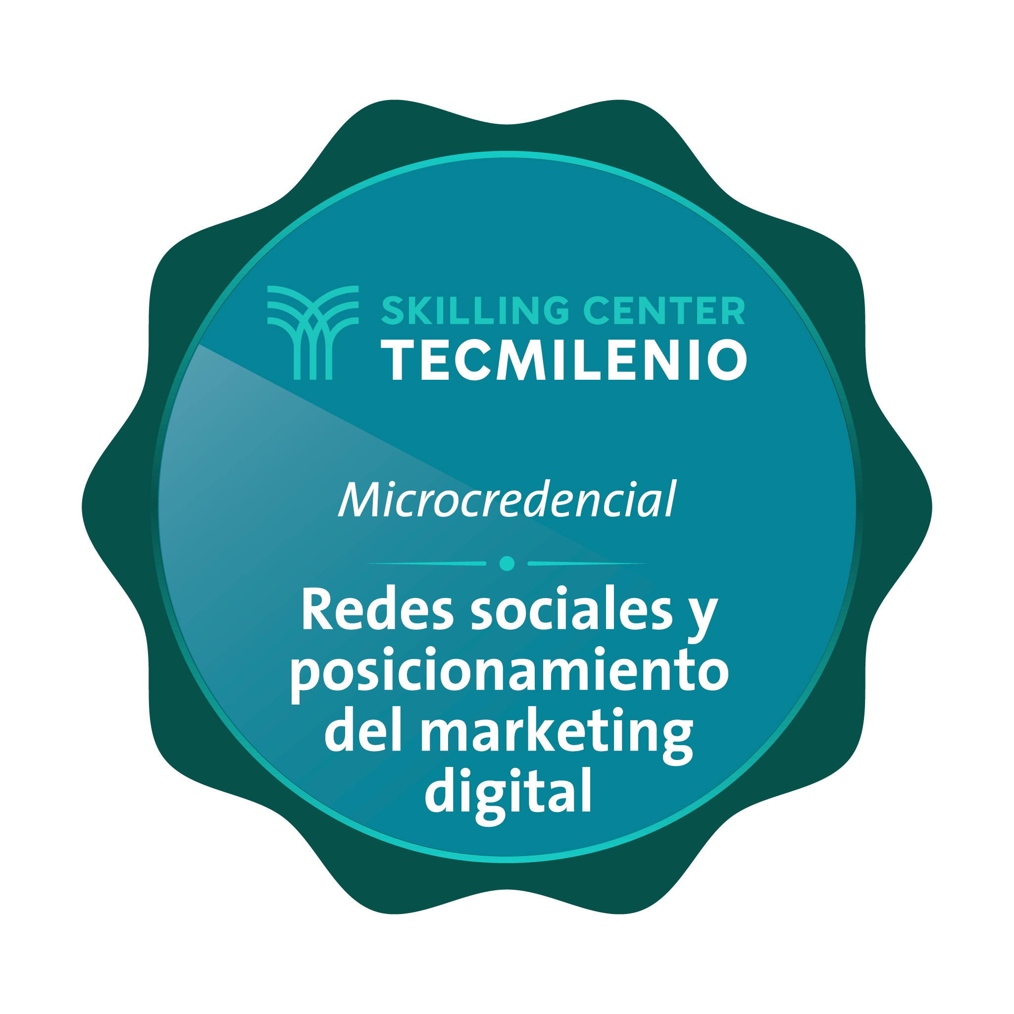 Microcredencial Redes sociales y posicionamiento del marketing digital