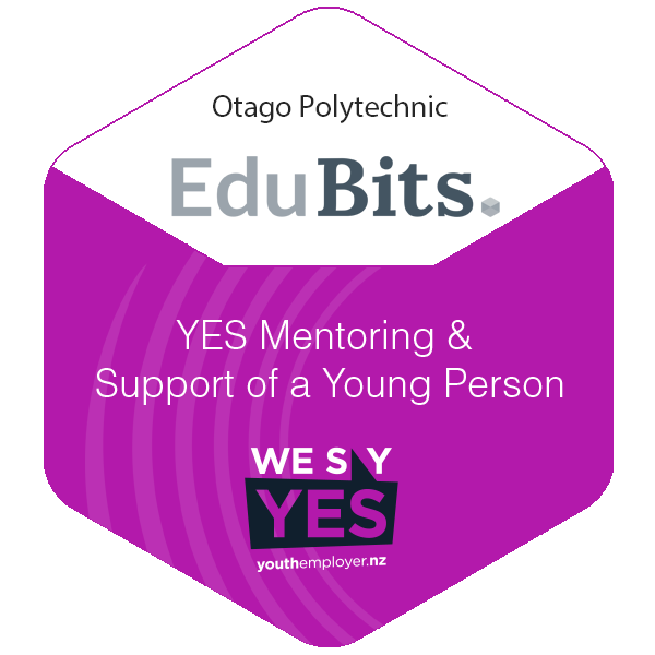 YES Mentoring and Support of a Young Person