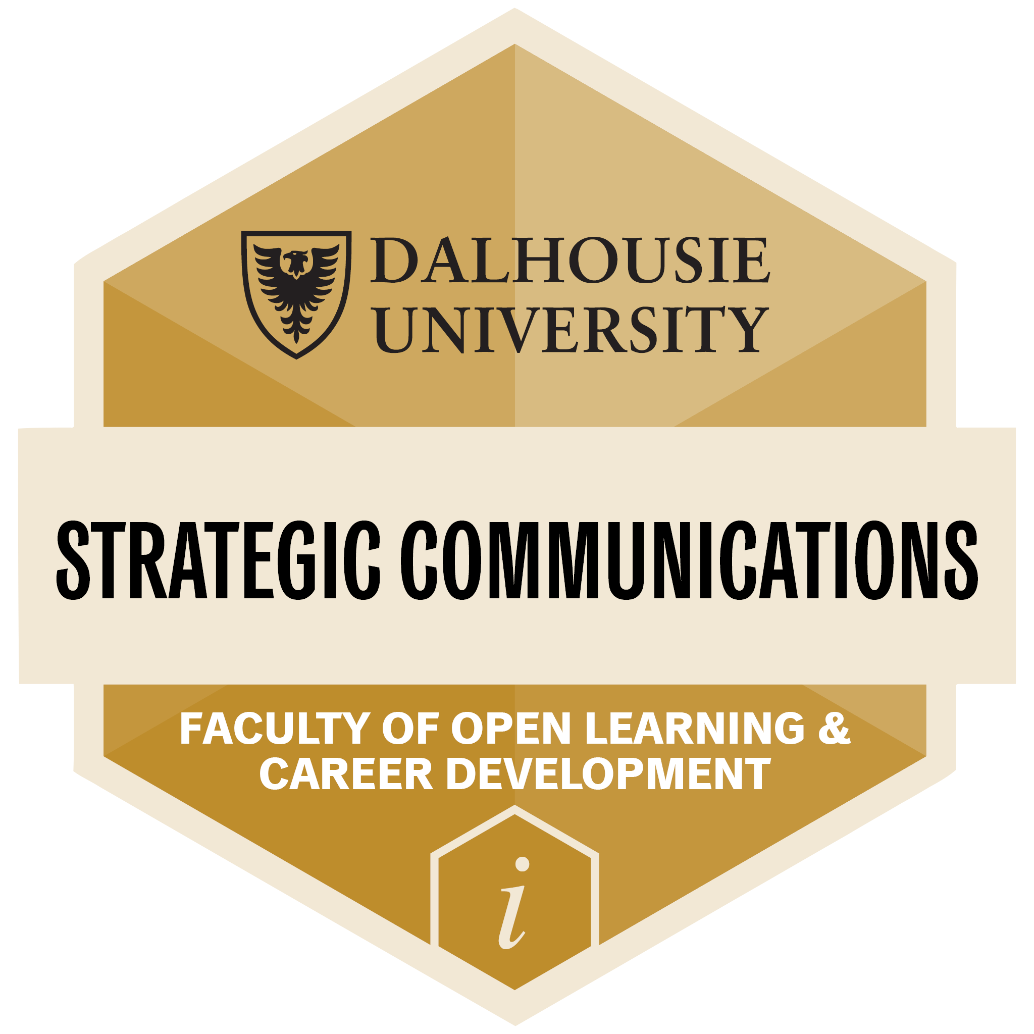 Strategic Public Communication Planning for Leaders