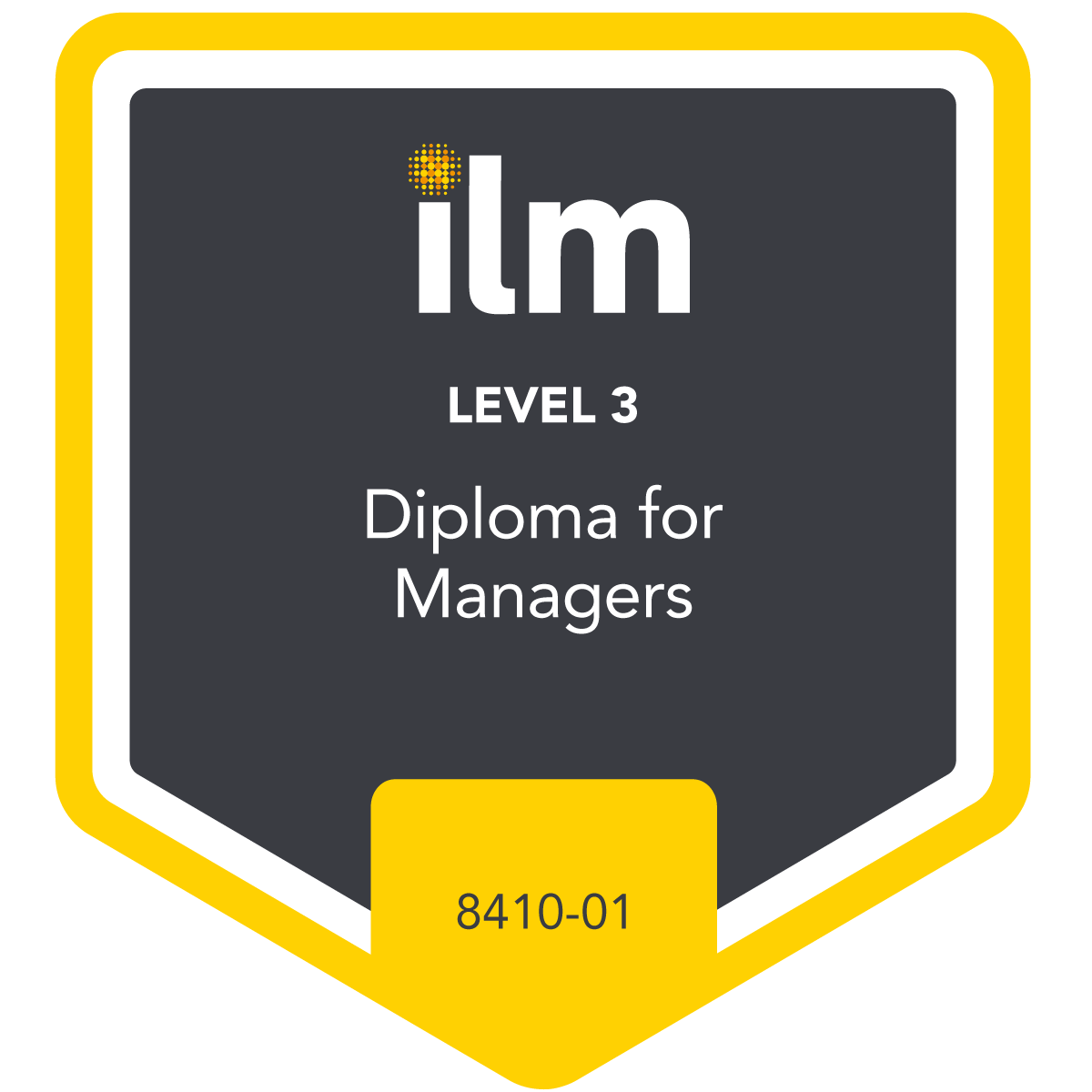 Level 3 Diploma for Managers - 8410-01