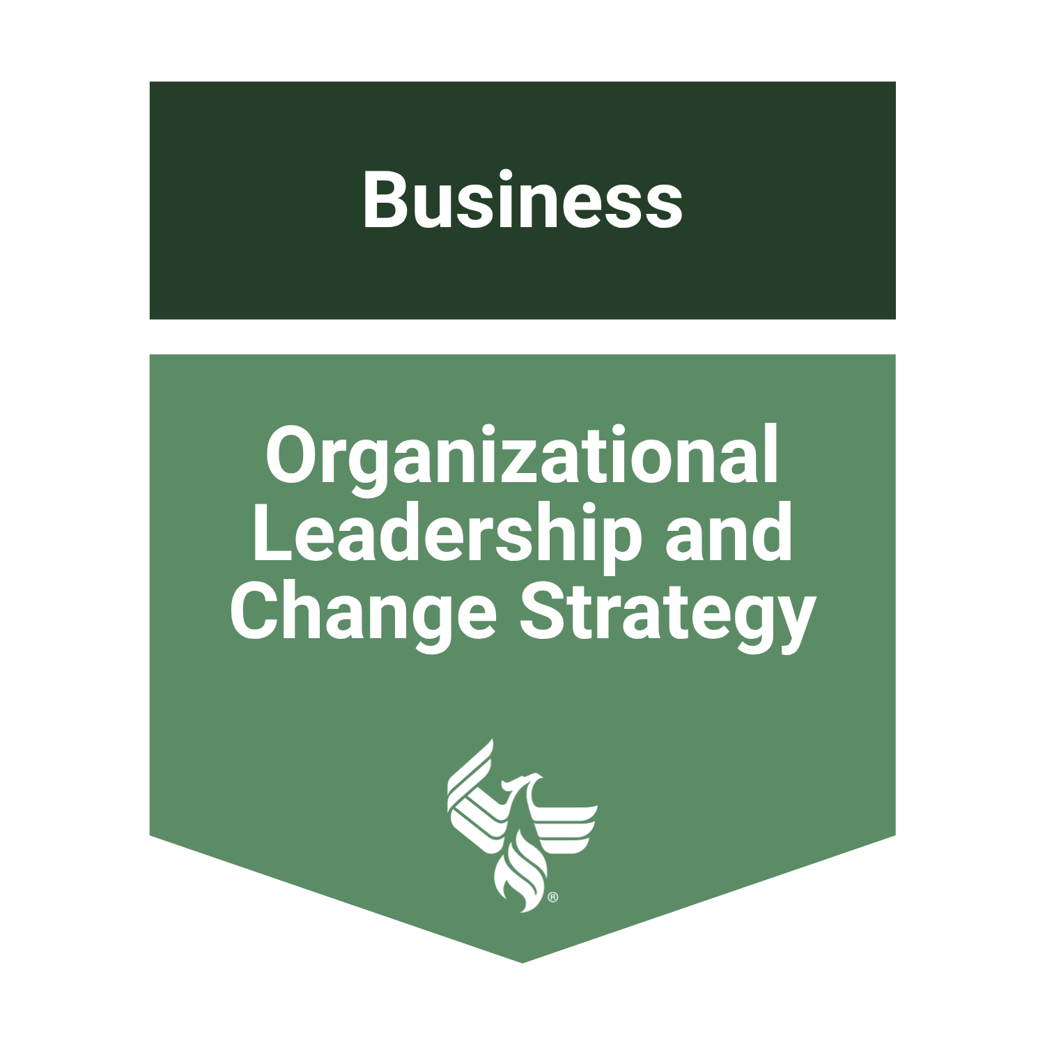 Organizational Leadership and Change Strategy