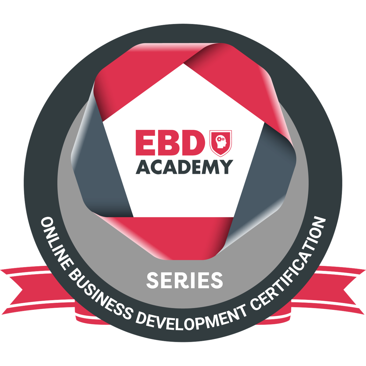 EBD Academy: Online Business Development Certification - Series