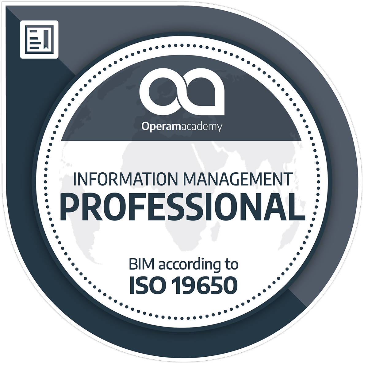 Information Management Professional