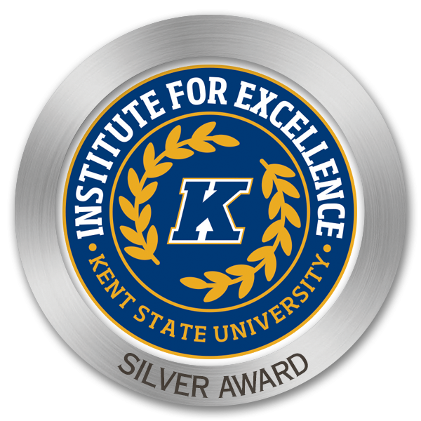 Institute for Excellence Silver Award