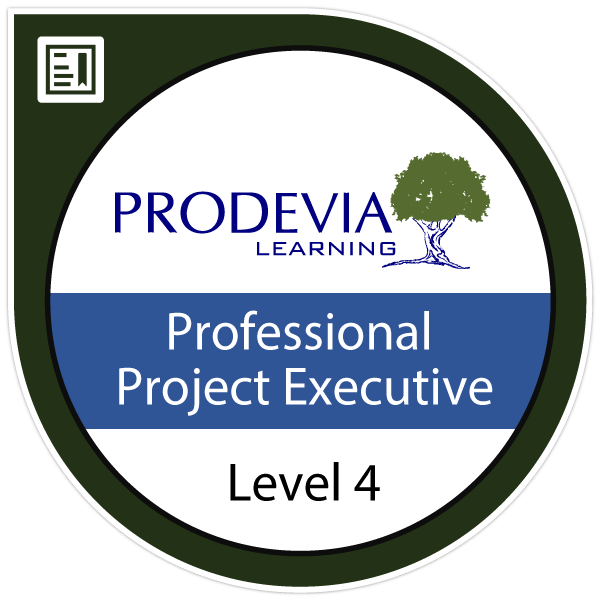 Professional Project Executive (PPE4)
