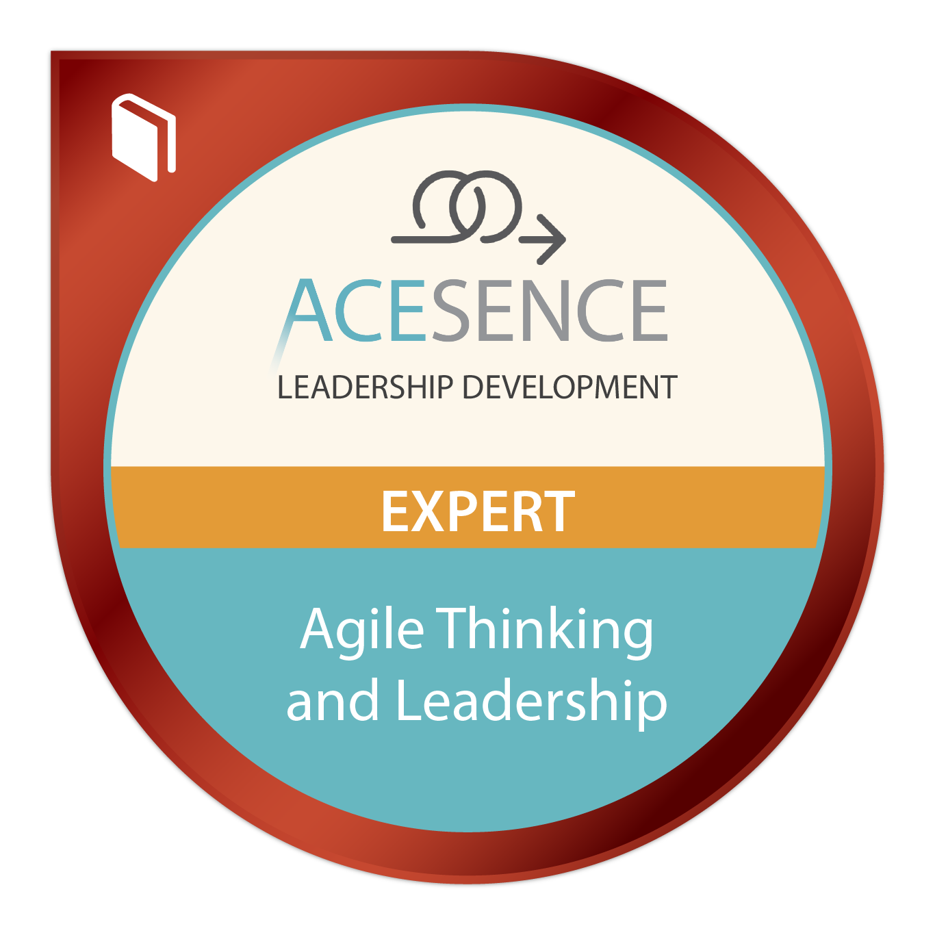 Agile Thinking and Leadership – Expert