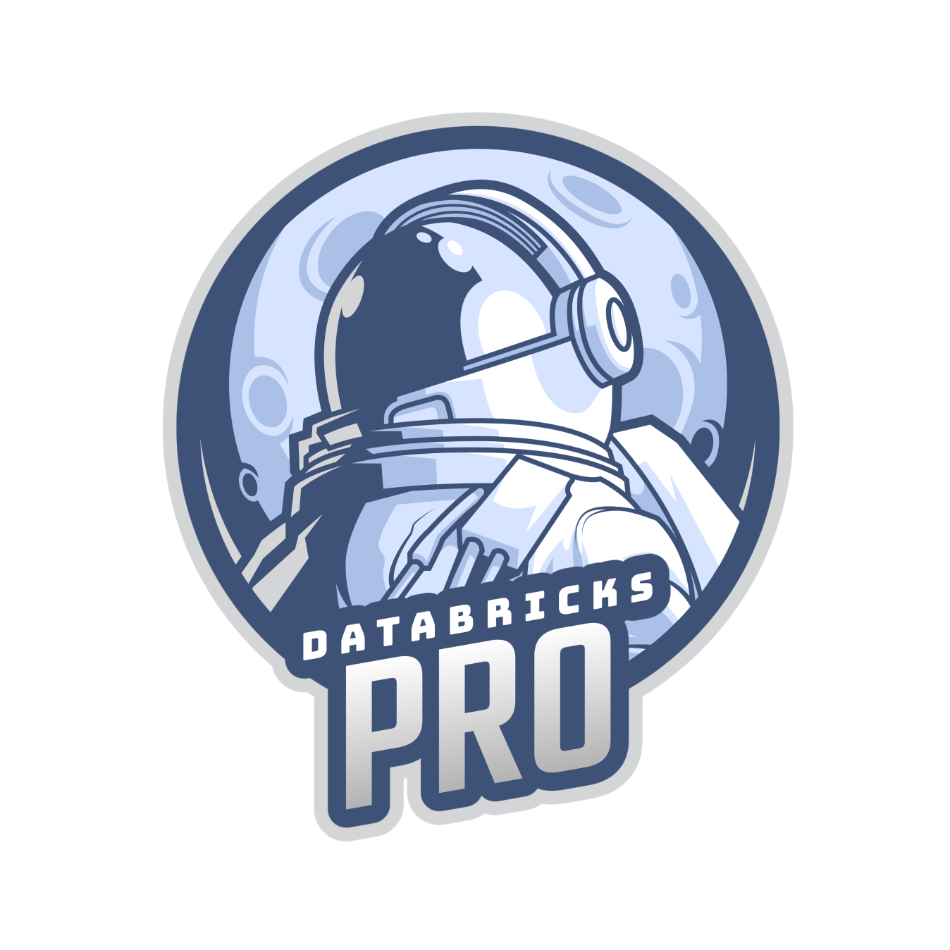 JLL Databricks Pro