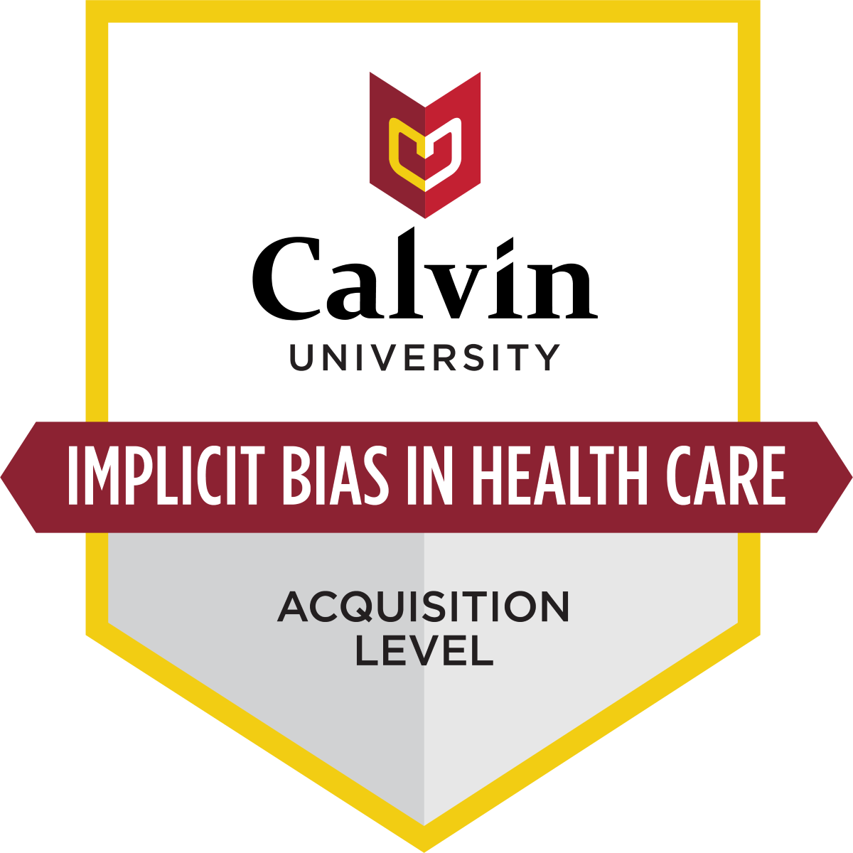 Implicit Bias in Health Care (3 contact hours)