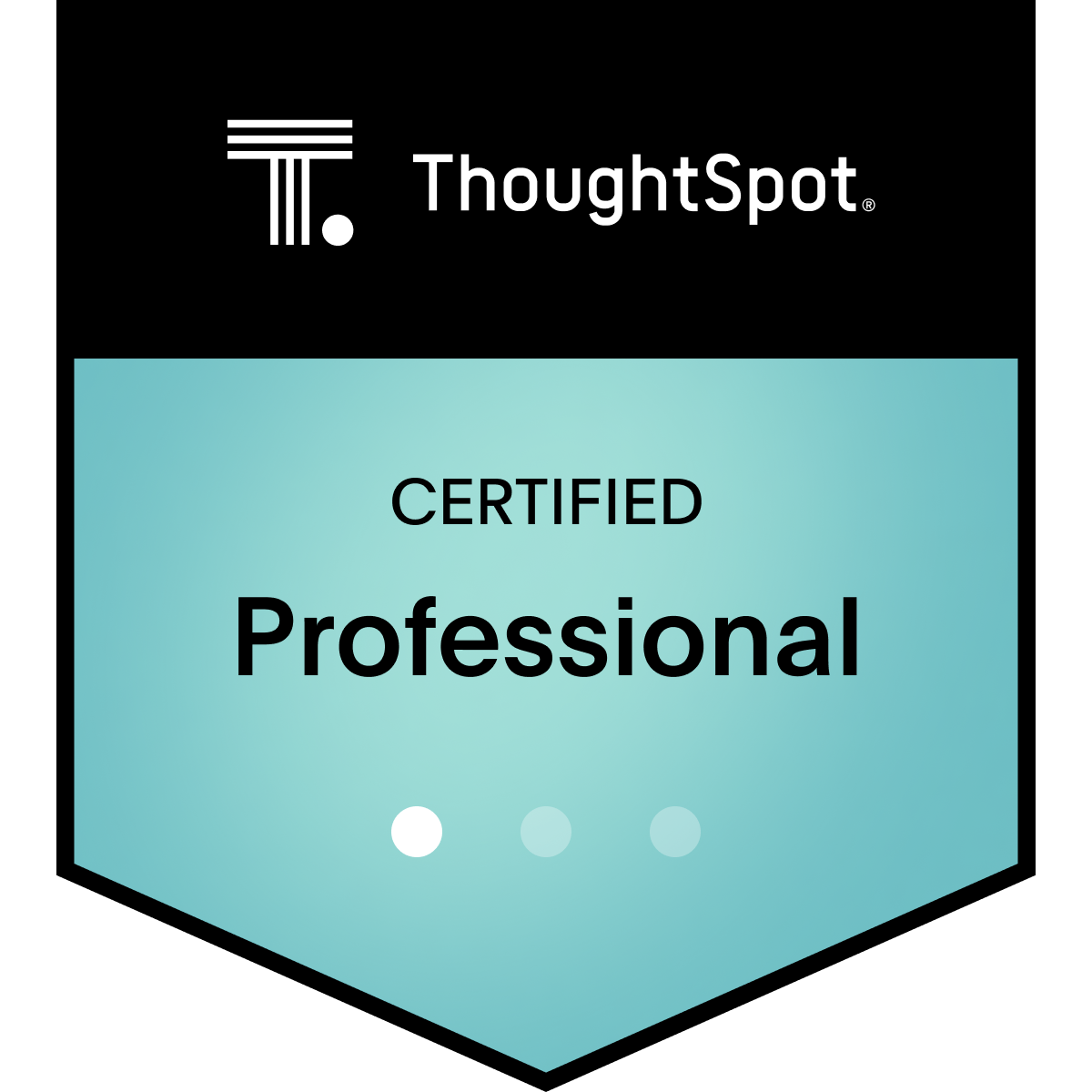 Certified ThoughtSpot Professional