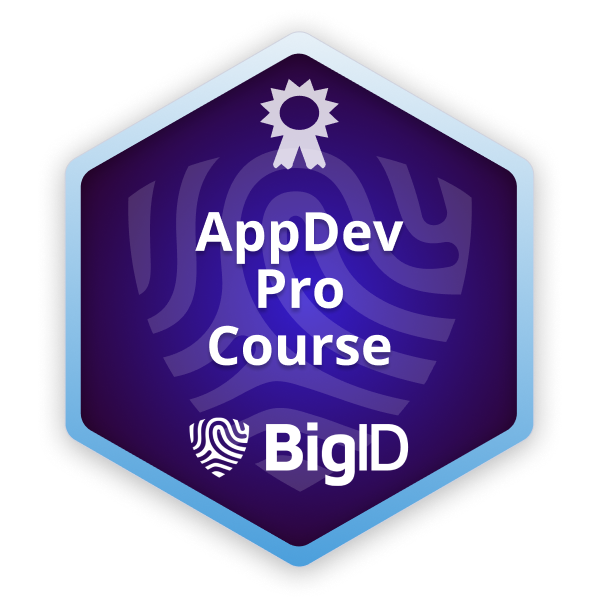 BigID AppDev Pro Course
