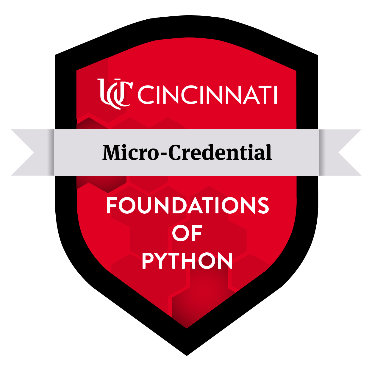 Foundations of Python