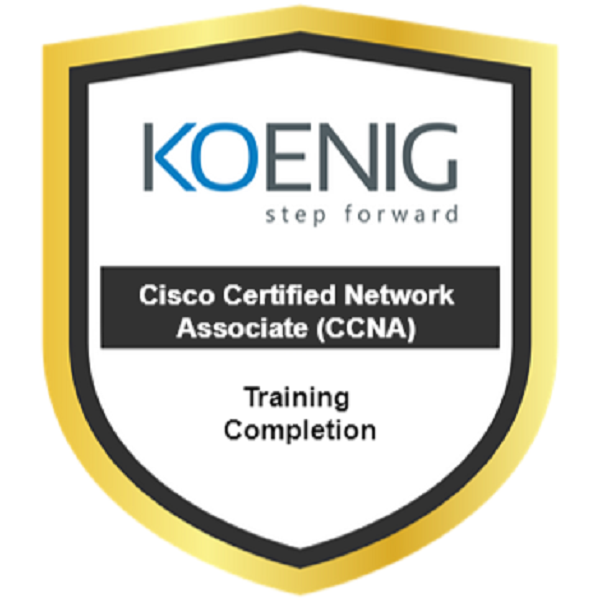 Cisco Certified Network Associate (200-301 CCNA)
