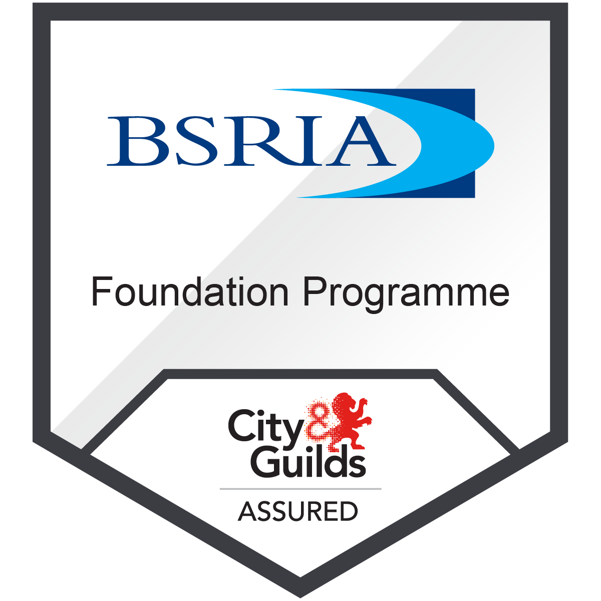Foundation Programme Credly