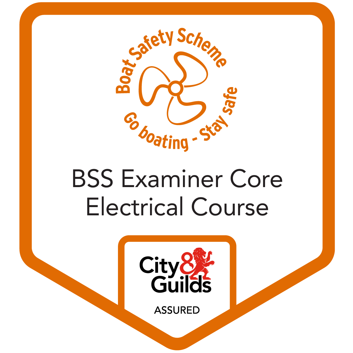 BSS Examiner Core Electrical Course Credly