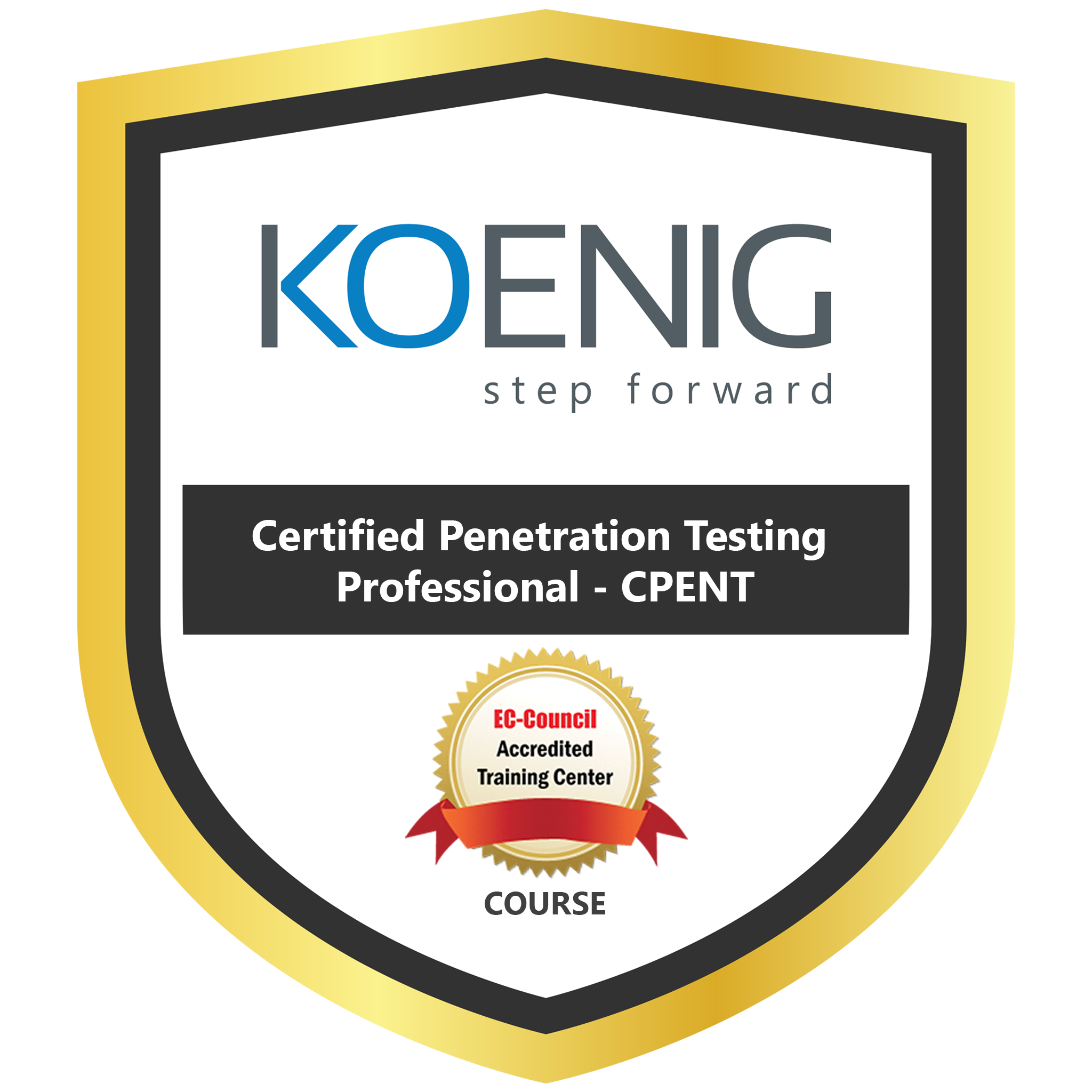 Certified Penetration Testing Professional - CPENT