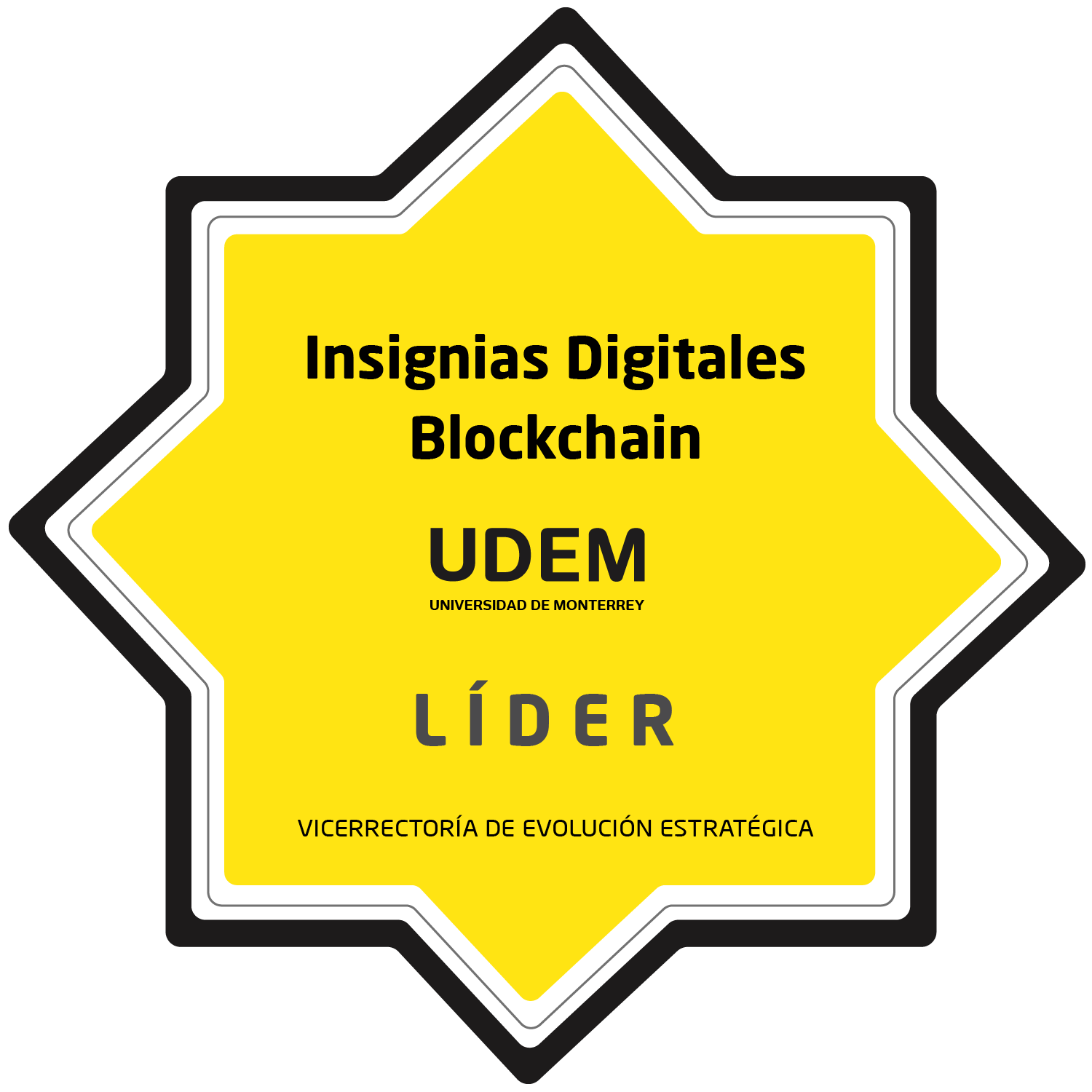 LÍDER - INSIGNIA DIGITAL BLOCKCHAIN