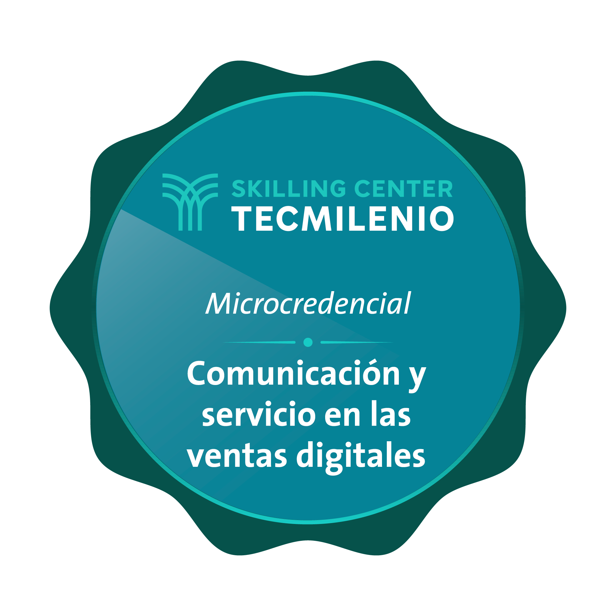 Microcredencial Comunicación y servicio en las ventas digitales