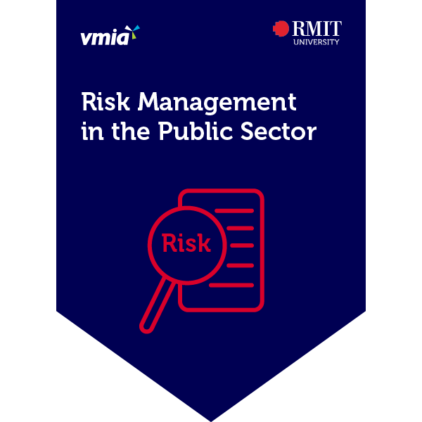 Risk Management in the Public Sector