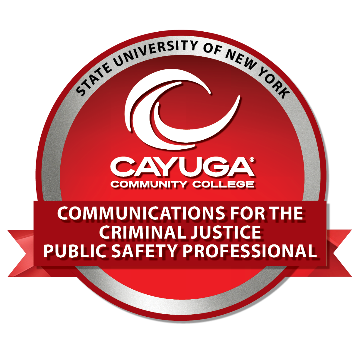 Criminal Justice and Public Safety Communication Skills