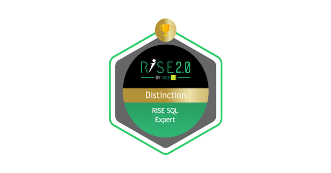 BCG RISE SQL Expert - Credly