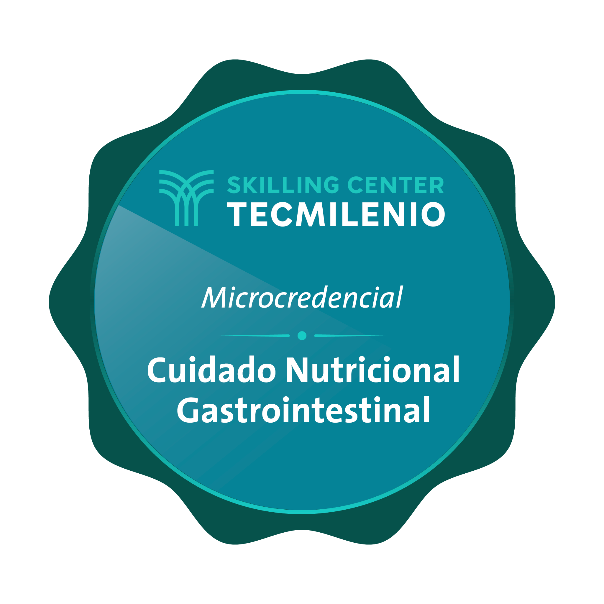 Microcredencial Cuidado nutricional gastrointestinal