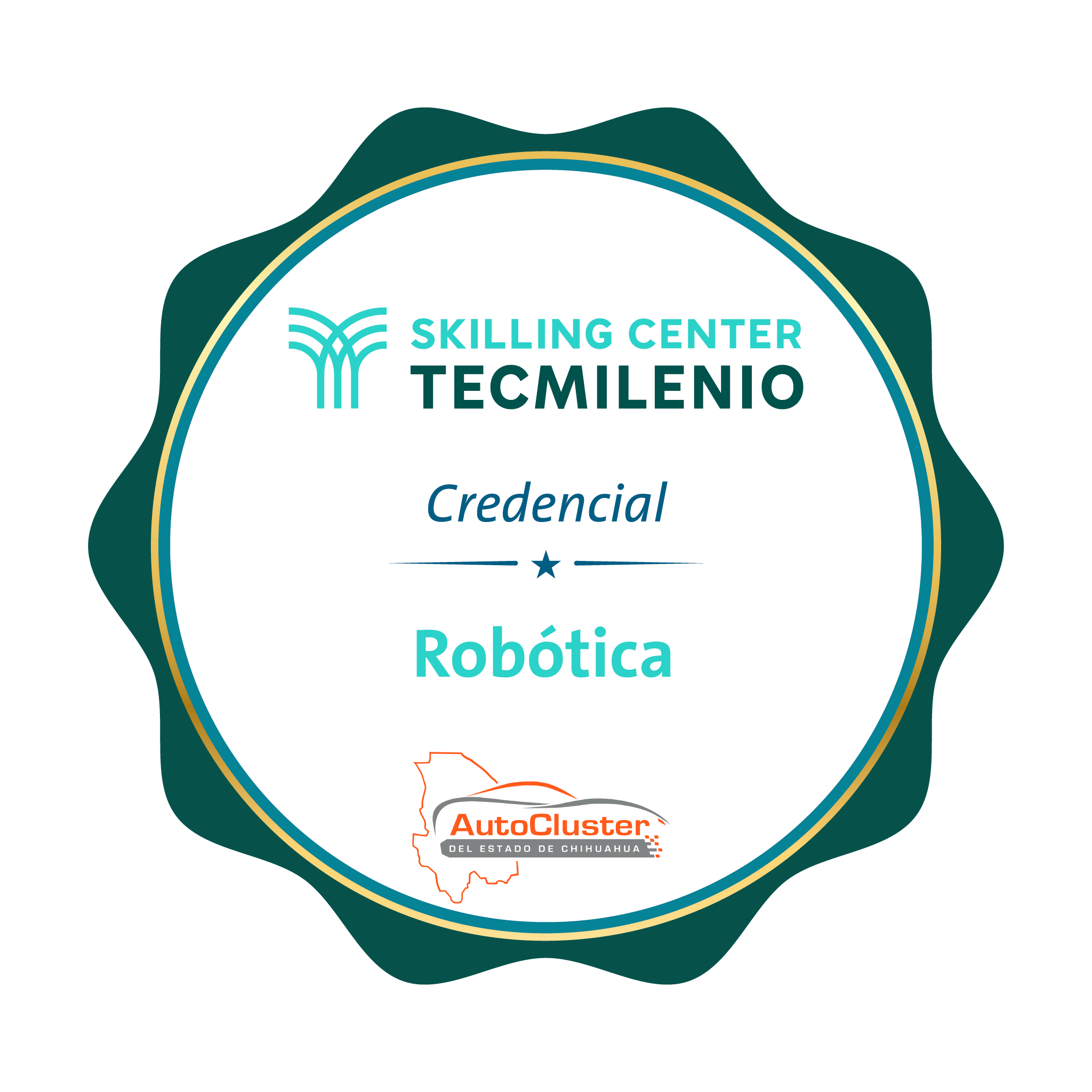 -Credencial Robótica