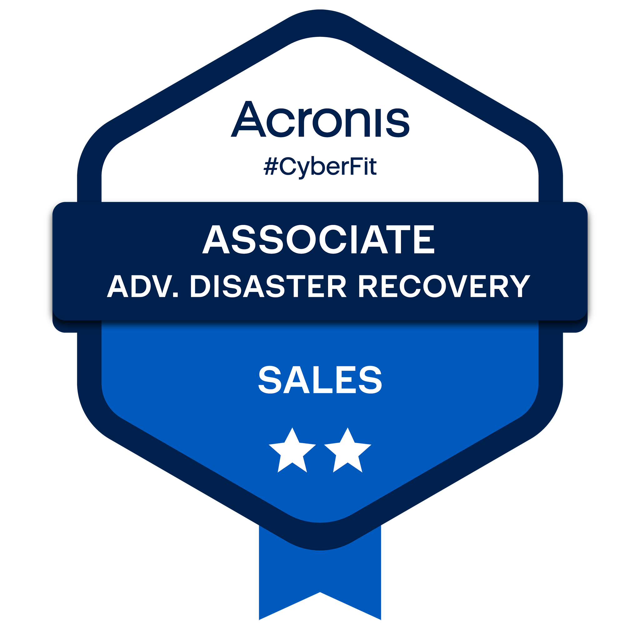 Sales Associate Advanced Disaster Recovery